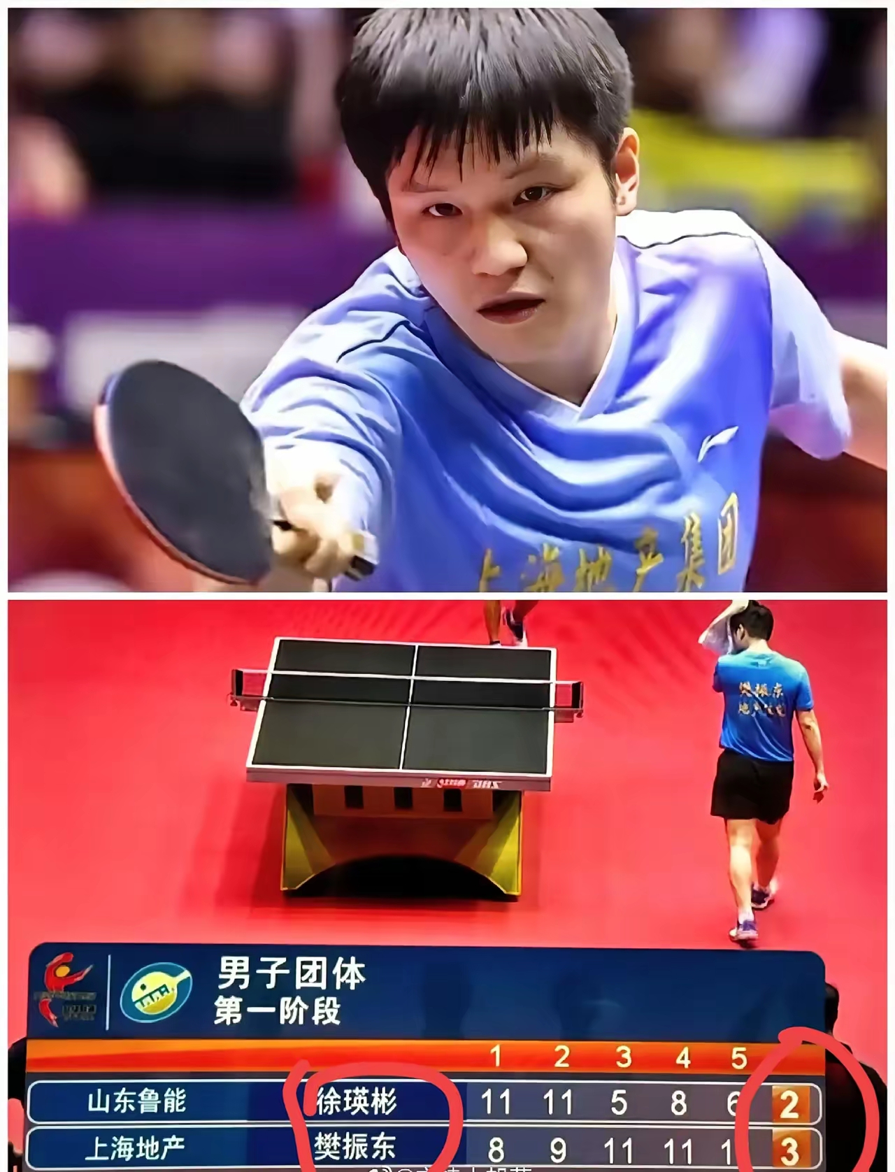 中国队横扫奥地利队，樊振东高光表现