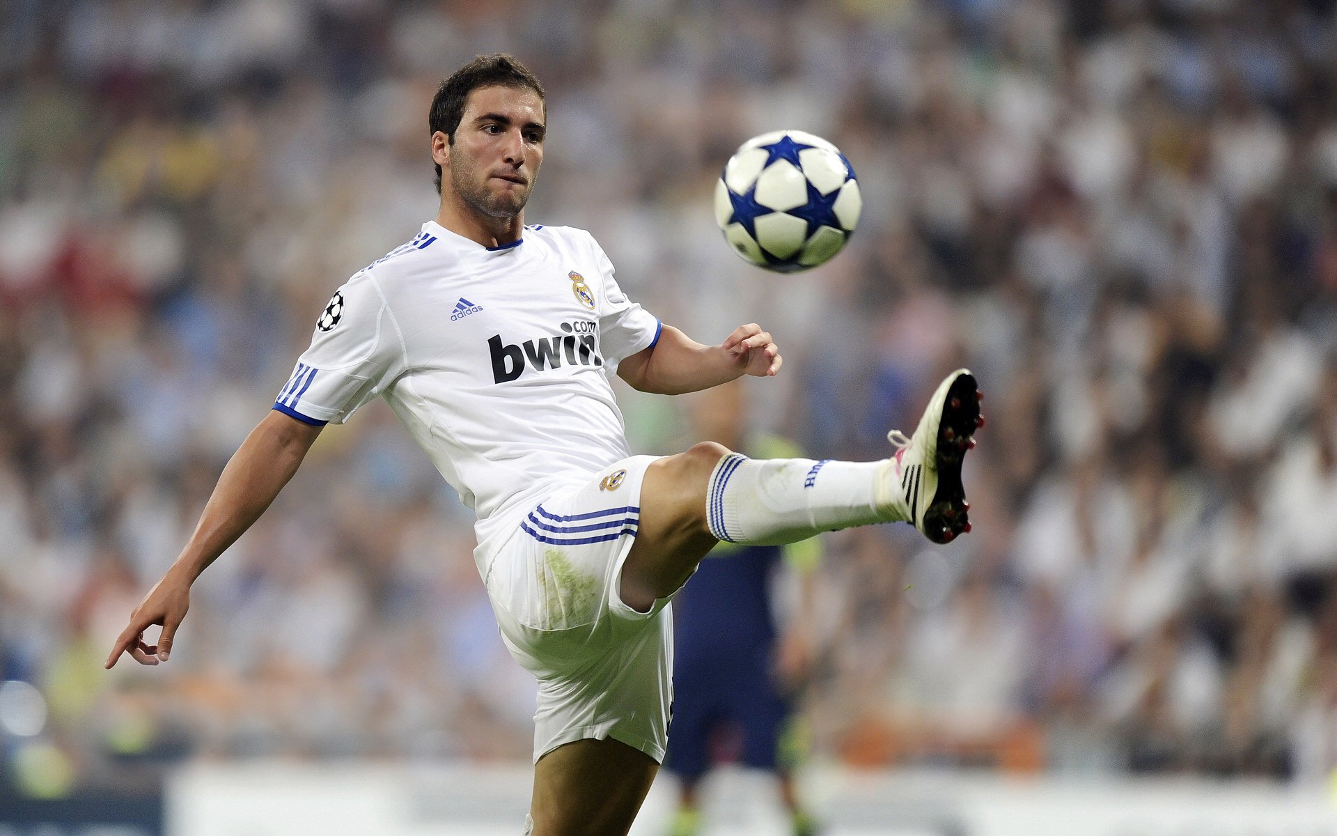 若日尼奥刷新纪录，葡萄牙力克里昂背后的中场艺术与坚韧